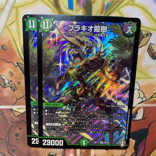 ブラキオ龍樹　2枚セット