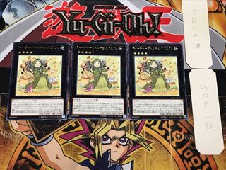 Madolche Teacher Glassouffle 2 Rare, Set of 3, Terra