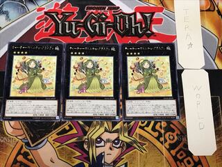 Madolche Teacher Glassouffle 5 Rare, Set of 3, Terra