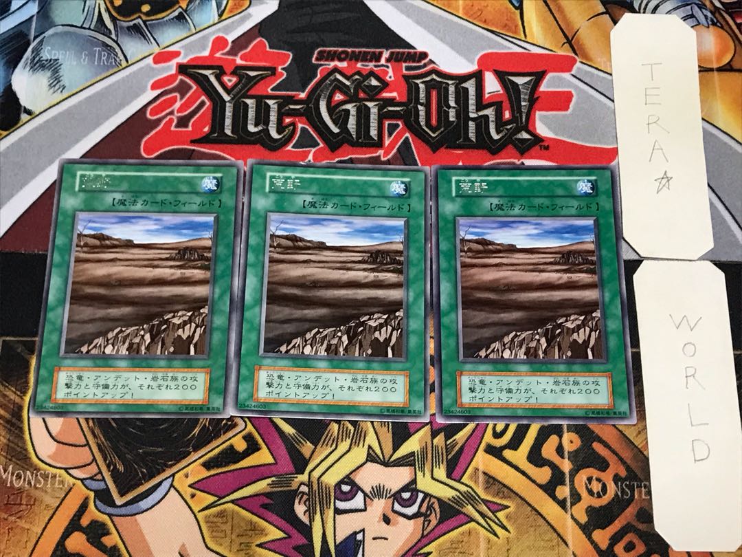 荒野 1 初期 レア 3枚セット てら