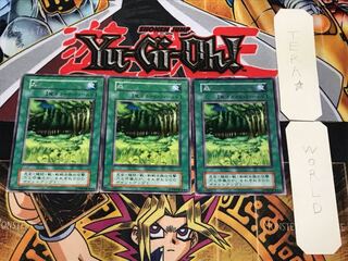 森 1 初期 レア 3枚セット てら