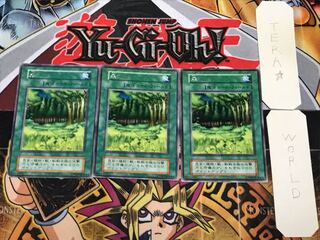 森 2 初期 レア 3枚セット てら