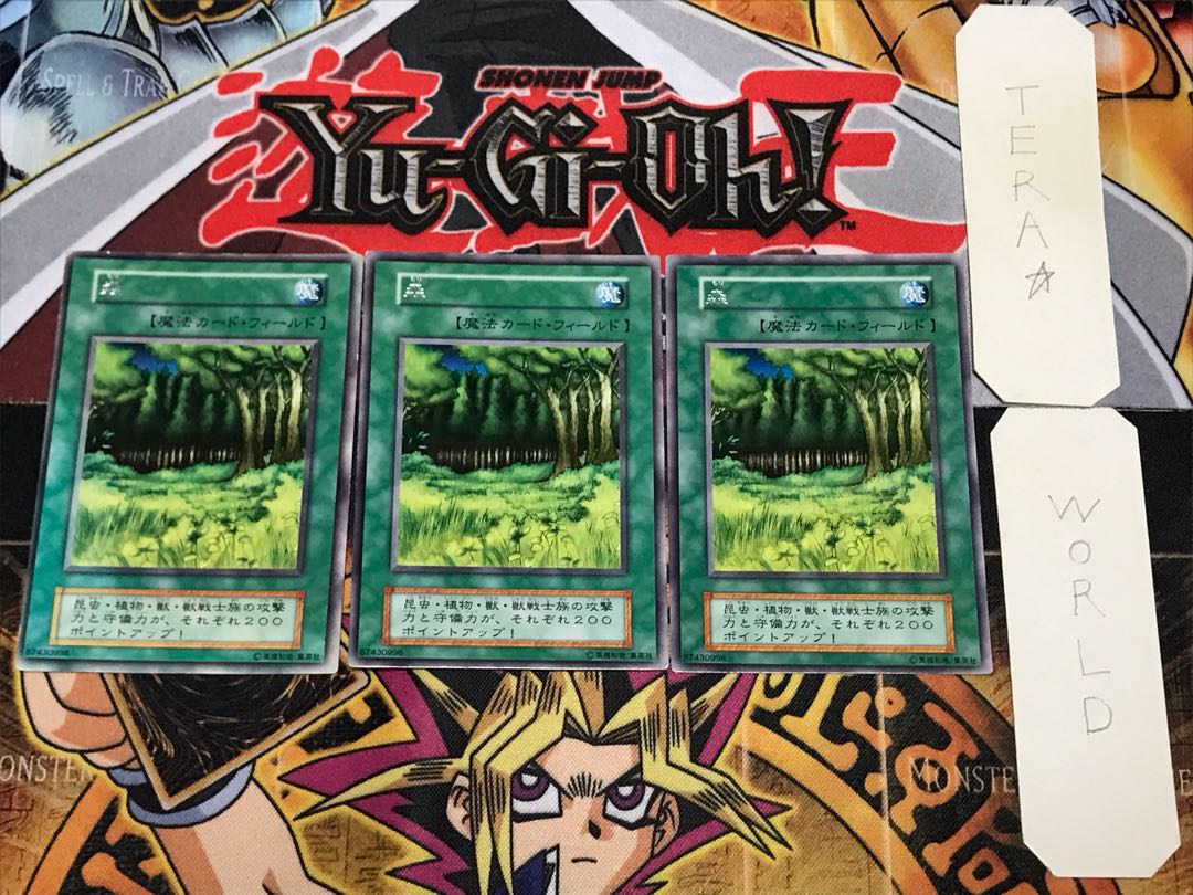 森 3 初期 レア 3枚セット てら