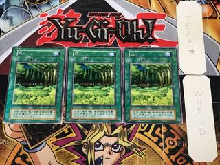 森 3 初期 レア 3枚セット てら