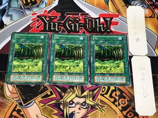 Forest 4 Early Rare Set of 3 Tera.