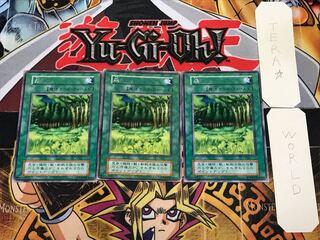 森 5 初期 レア 3枚セット てら