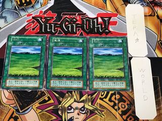 Grasslands 5 Early Rare Set of 3 Tera.