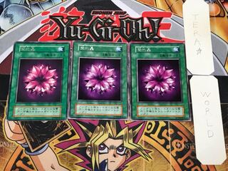 紫水晶 2 初期 レア 3枚セット てら