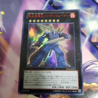 熱血指導王ジャイアントレーナー　VE08