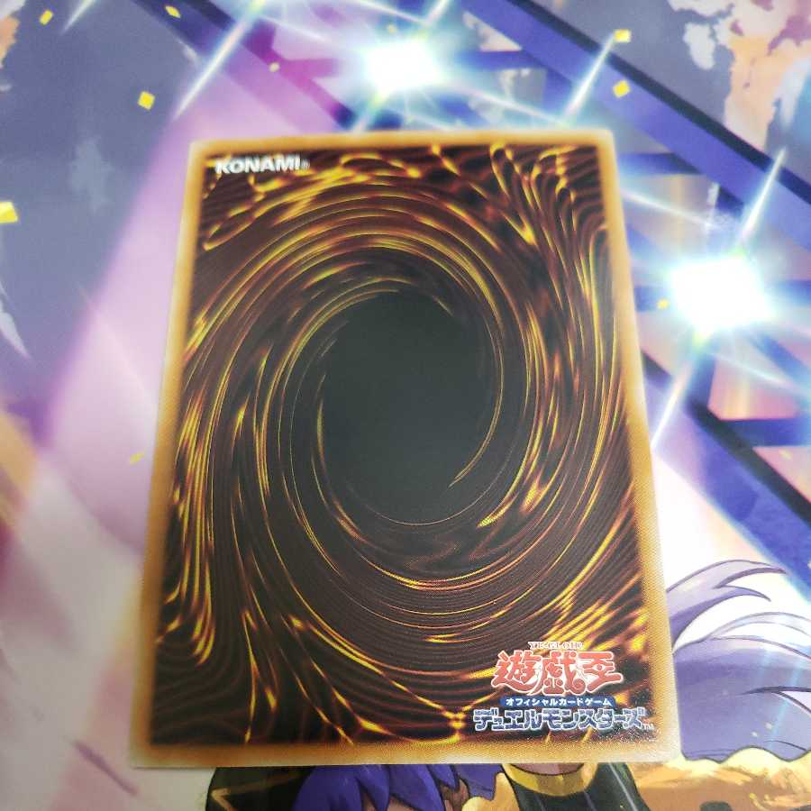 熱血指導王ジャイアントレーナー VE08