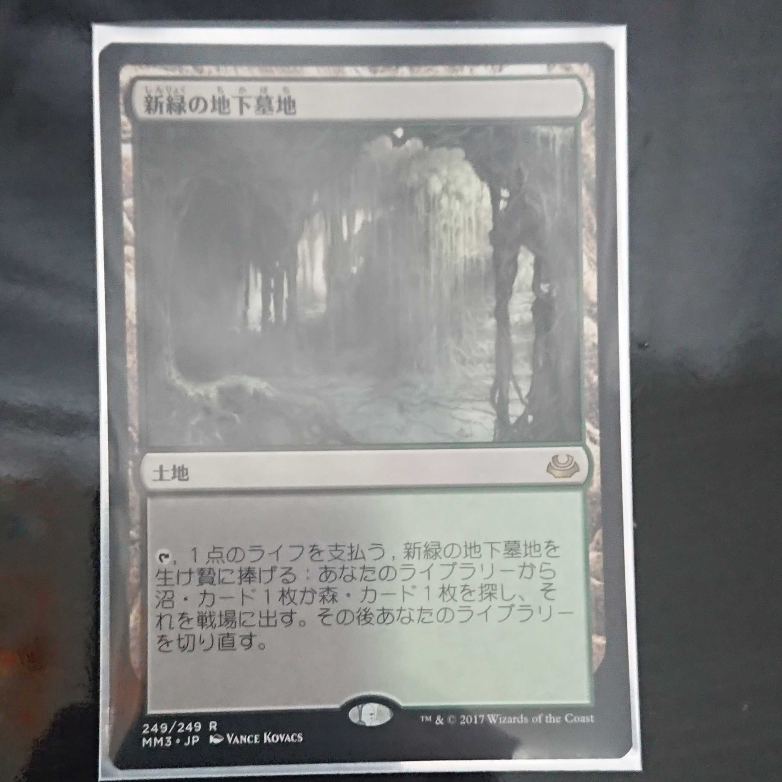 “専用”みうたん様専用 新緑の地下墓地 2枚セット