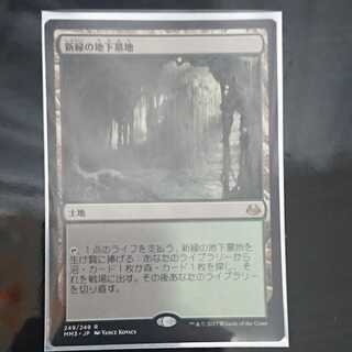 “専用”みうたん様専用 新緑の地下墓地 2枚セット