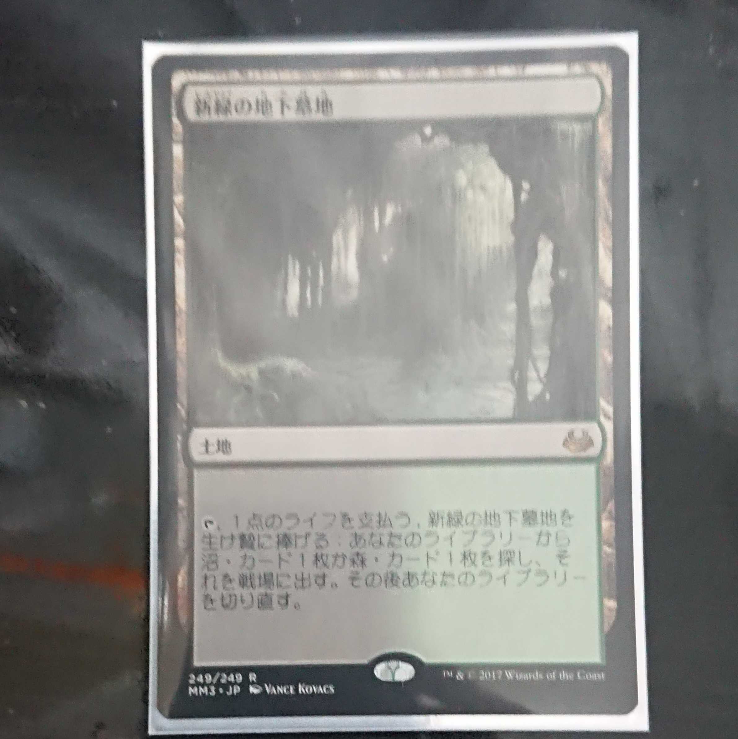 “専用”みうたん様専用 新緑の地下墓地 2枚セット