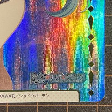 nbp epsilon foil reverse