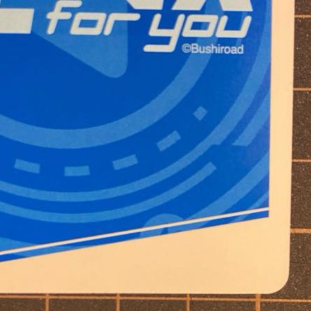 nbp epsilon foil reverse