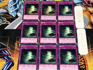 量子猫 2 レア 9枚セット てら