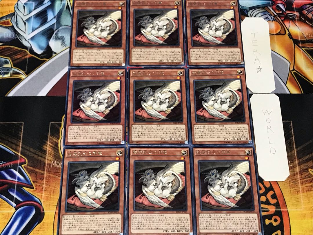 Buster Whelp of the Destruction Swordsman 1 rare set of 9 tera