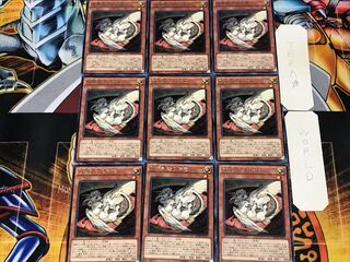 破壊剣士の伴竜 2 レア 9枚セット てら