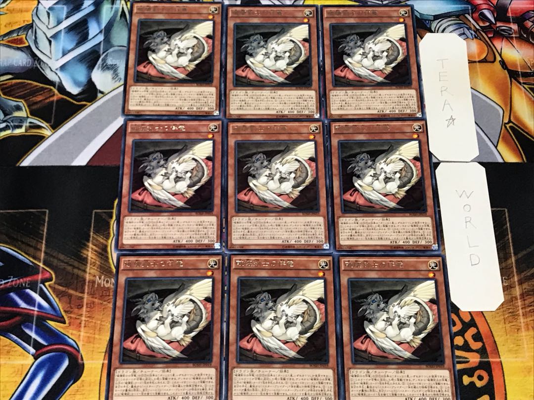 破壊剣士の伴竜 3 レア 9枚セット てら