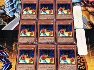 プチトマボー 1 レア 9枚セット てら