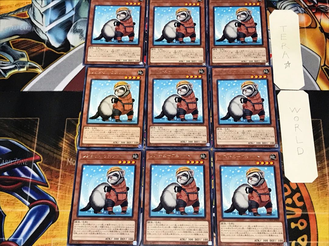 Rescue Ferret 1 rare, set of 9 Tera.