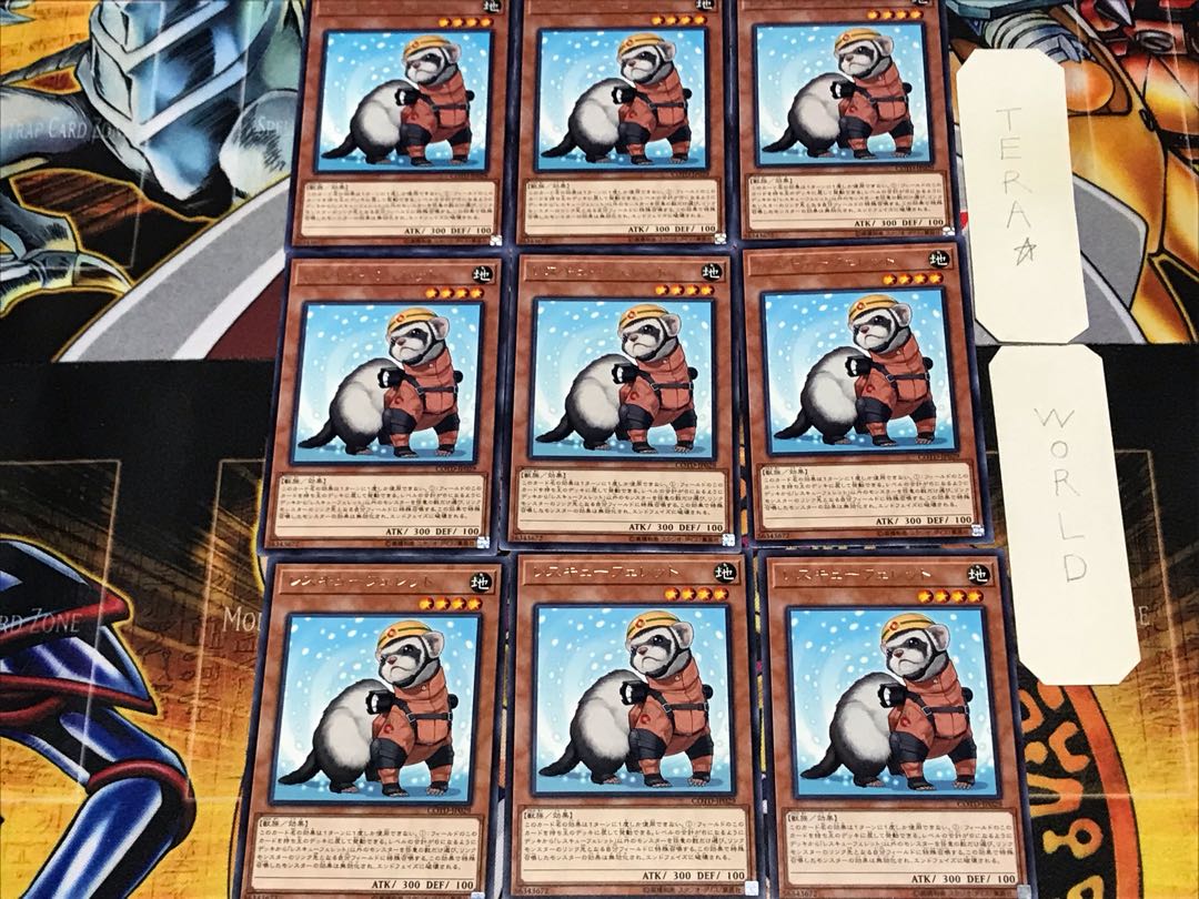 Rescue Ferret 2 rare, set of 9, Tera.