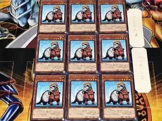 レスキューフェレット 3 レア 9枚セット てら