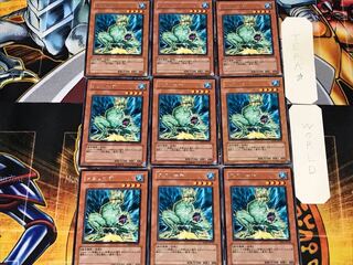 Skreech 2 Rare, set of 9, Tera.