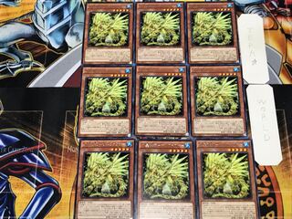 水晶機巧-サルファフナー 1 レア 9枚セット てら