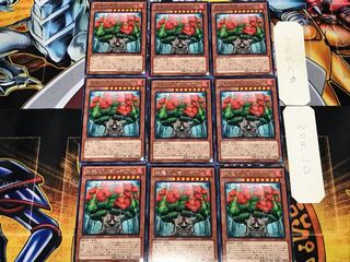 森羅の仙樹 レギア 1 レア 9枚セット てら