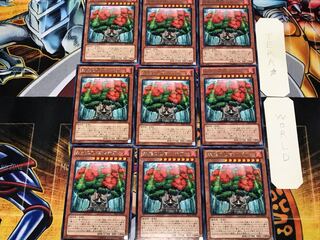 森羅の仙樹 レギア 2 レア 9枚セット てら