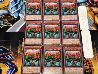 森羅の仙樹 レギア 3 レア 9枚セット てら