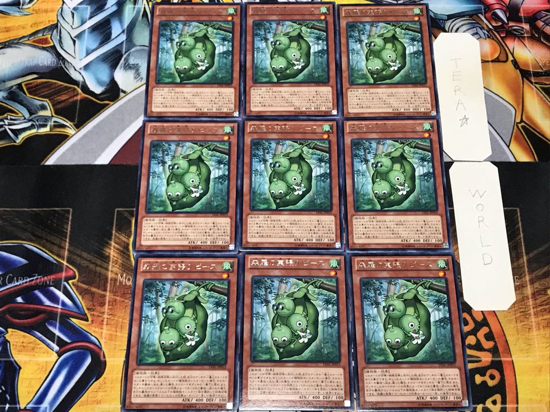 森羅の実張りピース 1 レア 9枚セット てら