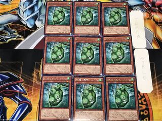 森羅の実張りピース 2 レア 9枚セット てら