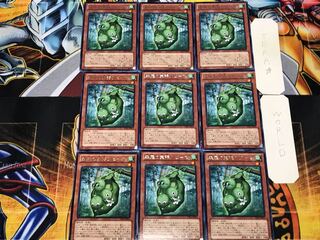 森羅の実張りピース 3 レア 9枚セット てら