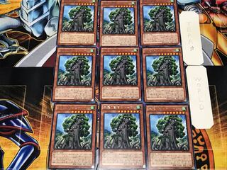 森羅の賢樹 シャーマン 1 レア 9枚セット てら