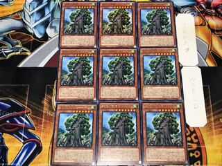 森羅の賢樹 シャーマン 2 レア 9枚セット てら