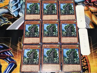 森羅の賢樹 シャーマン 3 レア 9枚セット てら