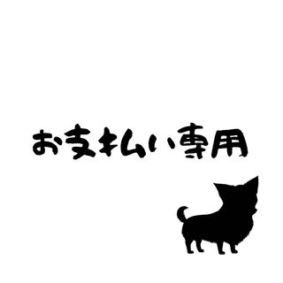 究極竜騎士ver 8P