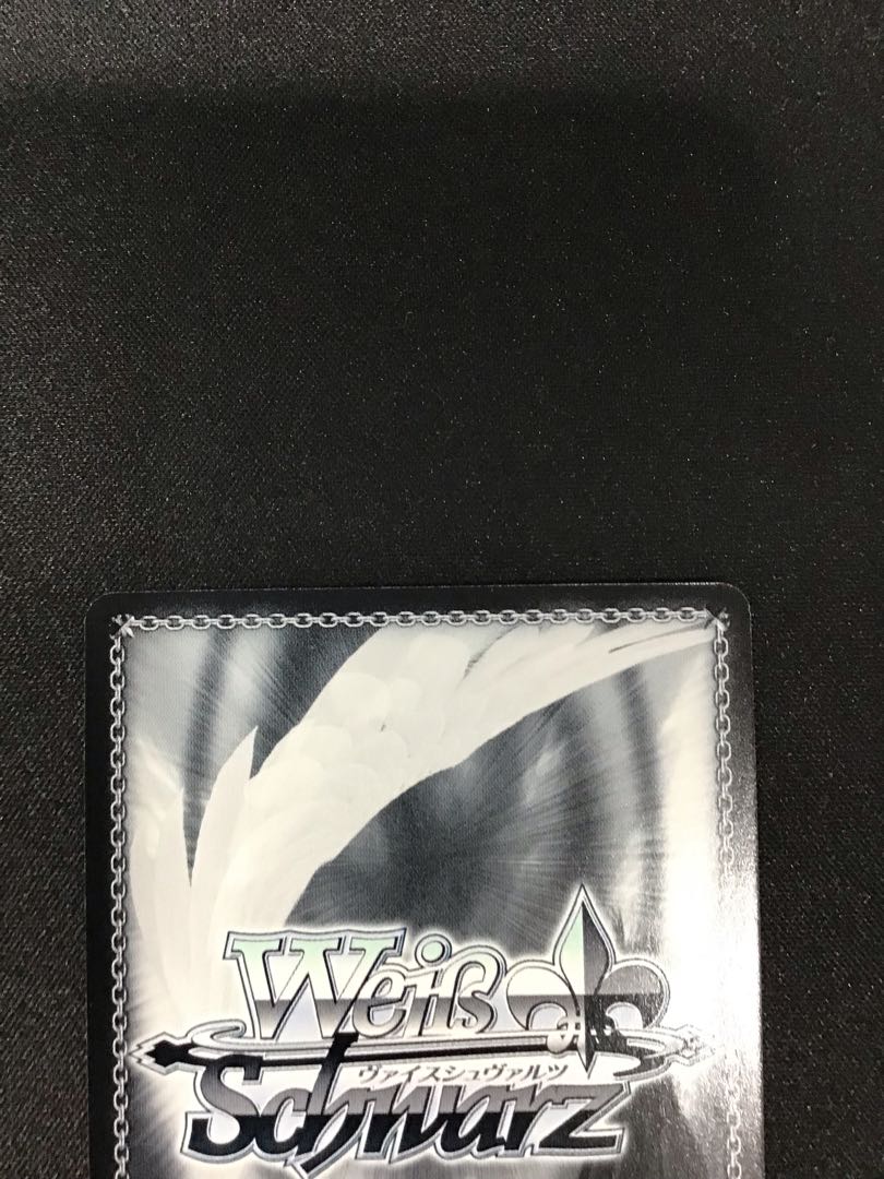 普通科 可可(W92-002SPb SP)