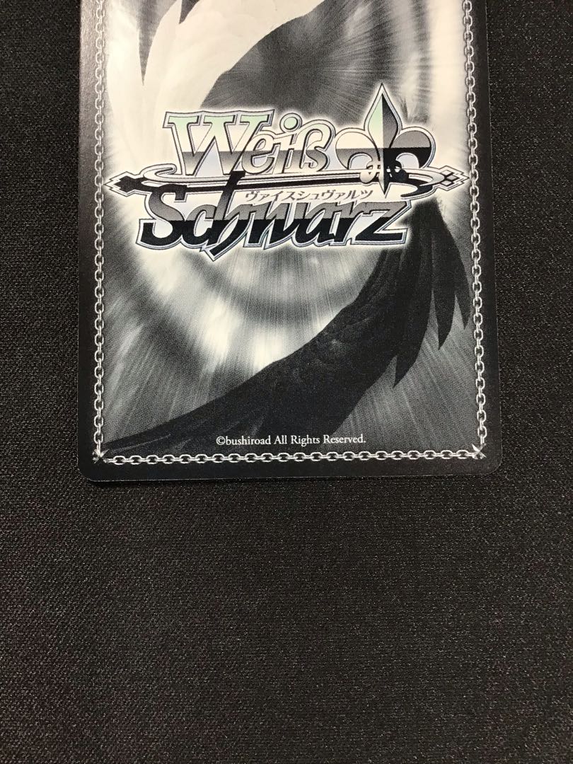 普通科 可可(W92-002SPb SP)