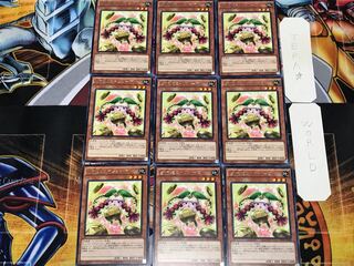 Prediction Princess Coinorma 2 rare, set of 9 Tera.