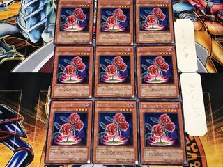 返り咲く薔薇の大輪 1 レア 9枚セット てら