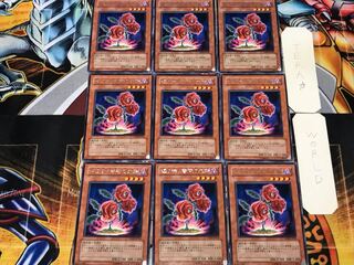 返り咲く薔薇の大輪 2 レア 9枚セット てら