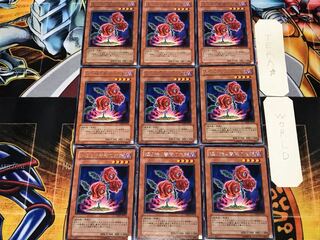 返り咲く薔薇の大輪 3 レア 9枚セット てら