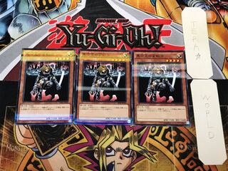 D.D. Warrior Lady 1 Normal Parallel Set of 3 Tera