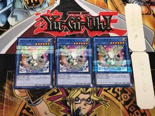 神光の宣告者 5 ノーマルパラレル 3枚セット てら