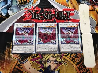 Black Rose Dragon 2 Normal Parallel Set of 3 Tera