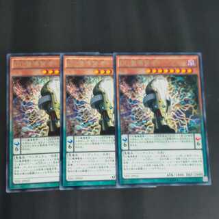 ＤＤ魔導賢者　トーマス✕３　【木林堂】