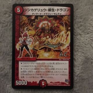 シンカゲリュウ・柳生・ドラゴン